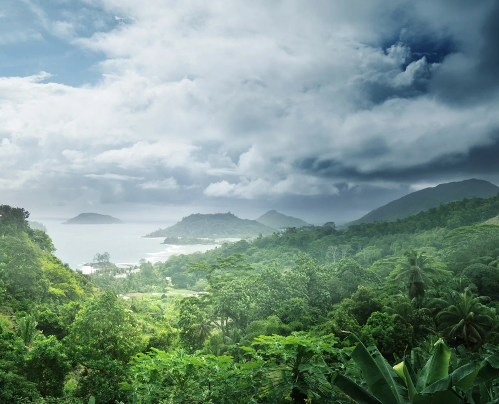Sustainable Development Goals and IFC Patrimonial Titles